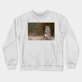 Barred Owl on log Crewneck Sweatshirt